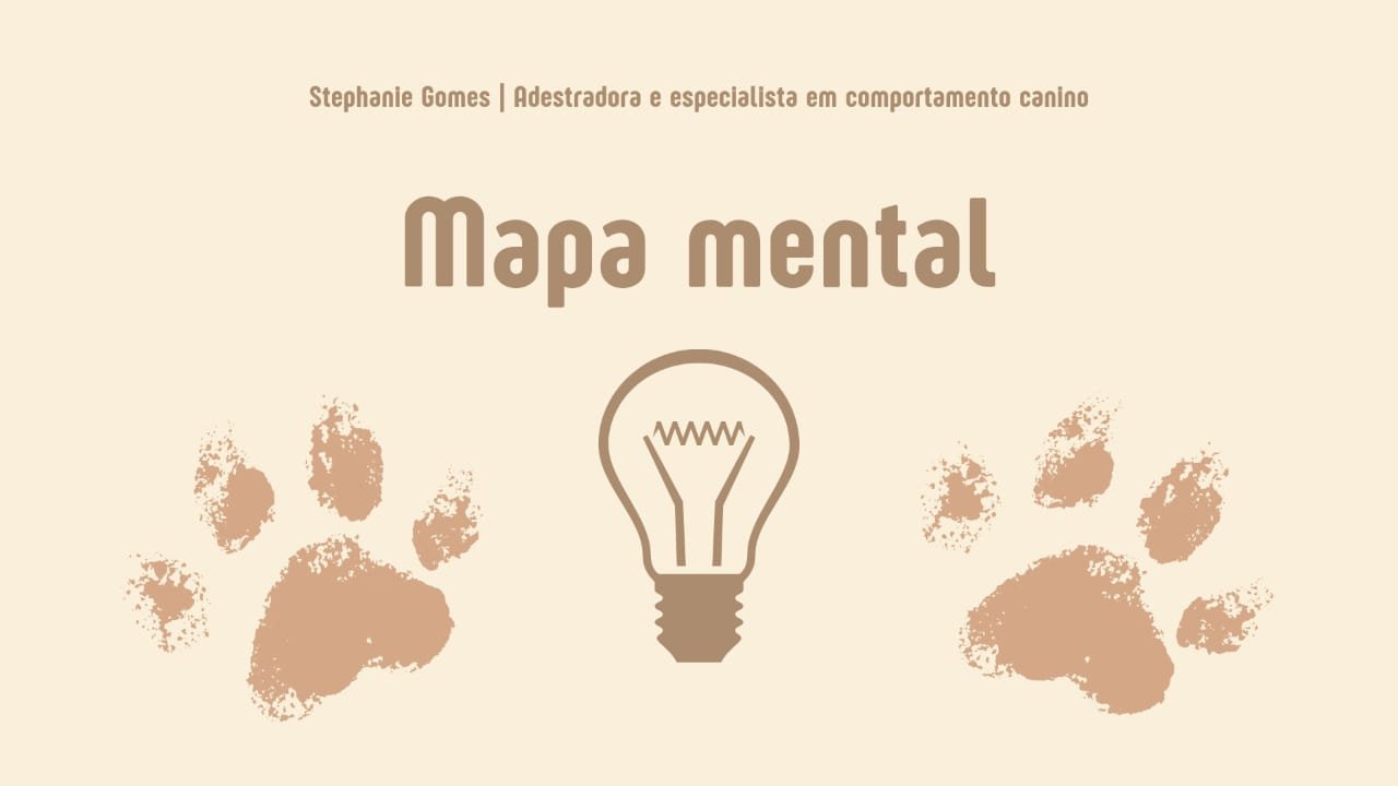 mapa mental